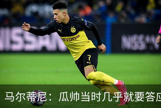 马尔蒂尼：瓜帅当时几乎就要答应了，薪水从来不是问题，他太累了